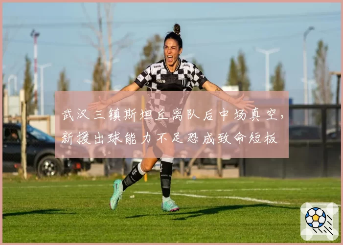 武汉三镇斯坦丘离队后中场真空，新援出球能力不足恐成致命短板