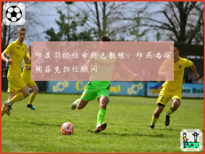 印度羽协任命新总教练,印尼名宿陶菲克担任顾问