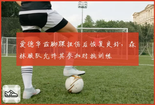 爱德华兹脚踝扭伤后恢复良好,森林狼队允许其参加对抗训练